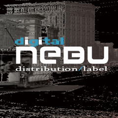 DigitalNEBU