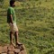 Vineeth Sahadevan