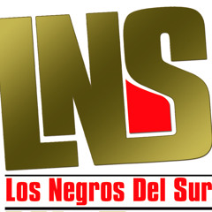 Los Negros Del Sur (LNS)