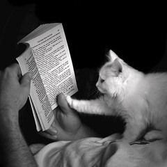 Reading to Each Other