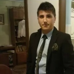 vlad mocanu 1
