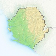 SIERRA SL ROOT RADIO