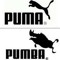 Charlie Panda