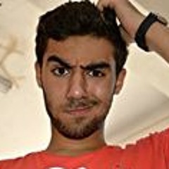 Abdel-mohsen Reda El-Saqa