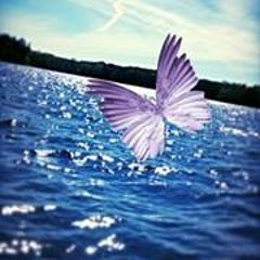 Marilyn Bailey Johnson