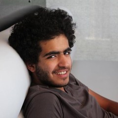 seif kamel