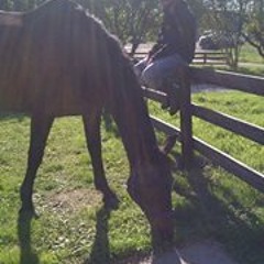 Scott Graeme Strachan