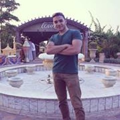 Sherif Kamel 4