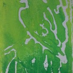 Ricardo Santana (Passa)