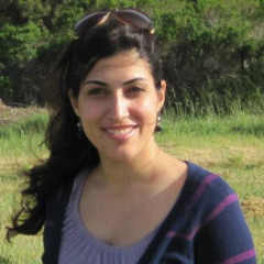 sajedeh safari