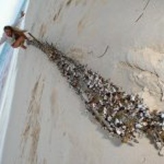 Natalia Escalera Sala