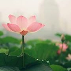 Siska Putri Puspitasari