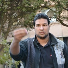 Mohammad Amr 1
