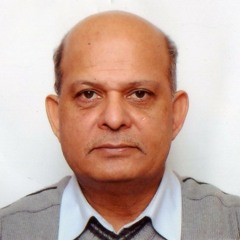 Narendralodhia