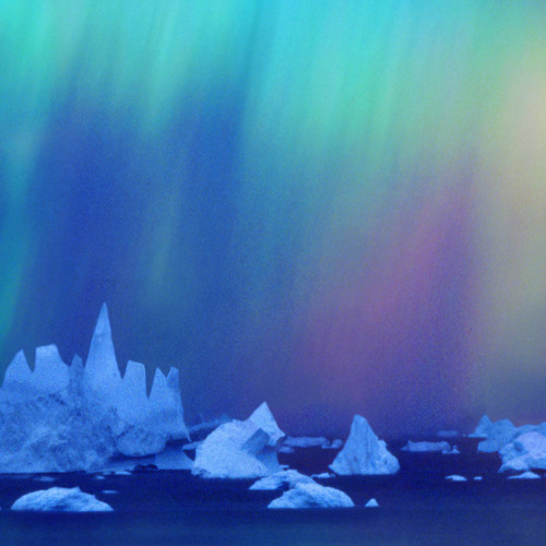 Too Many Zooz - F Note