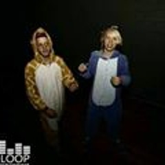 Cougar Master Brumby