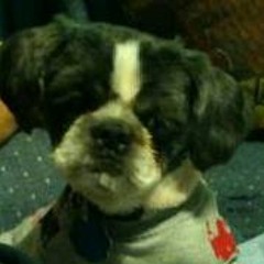 Annette Curtis Stjohn