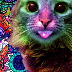 zumbrotta