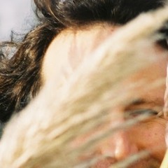 Tony Ludwik Sucheston