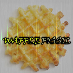 Waffle Fossil