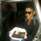 Adin D'gilis