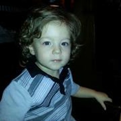 Holly Plant Martinez