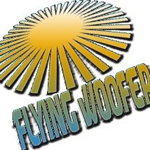 Flying Woofer Recs’s avatar