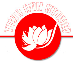 tuananhstudio