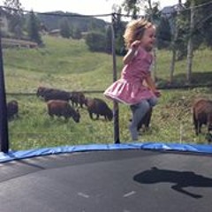 Gregor Gregi Andenmatten