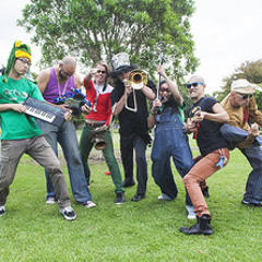 Dr.Kong & The Stem Cells