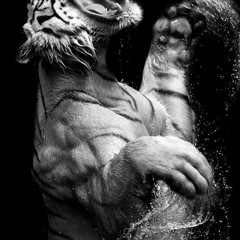 Ben Sage - I'm Real Rmx (J.Lo & Ja Rule)