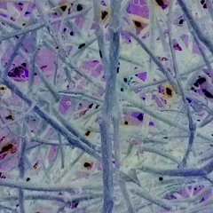 Heliotropic Heathens (2013)