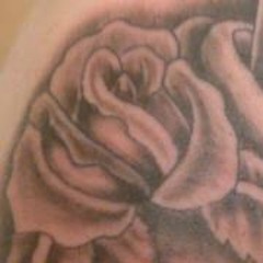 Kronik Shadskii Akili