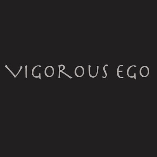 VigorousEgo13’s avatar