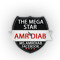 The Mega Star Fan page