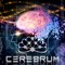 CEREBRUM