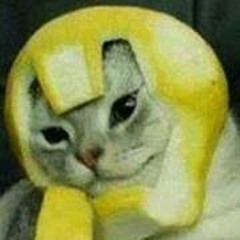 Mitchell Broomhilda Poola