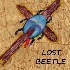 lost beetle