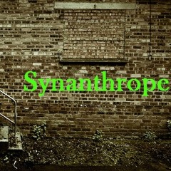 Synanthrope