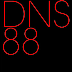 DNS88