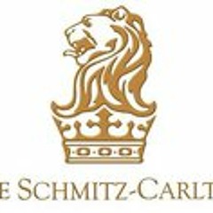 Bettine Sophie Schmitz