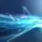 Electronic Booking