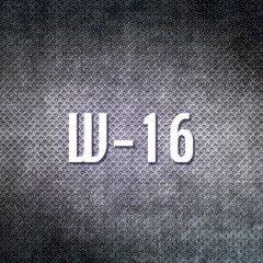 W-16