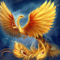 YellowFeenix