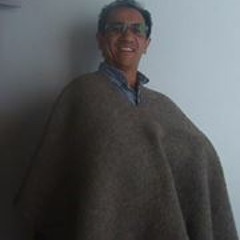 Julio Cesar Parada S