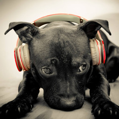 Reggae
