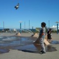 Sebastian Alejandro Navea