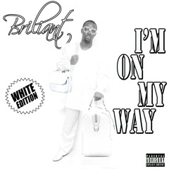 BRILIANT PAPERGANGNATION