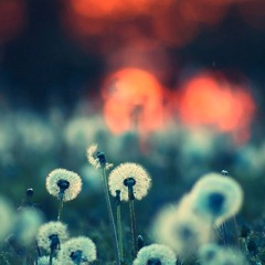 @Rap_Cloud
