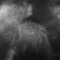 SkYgReY